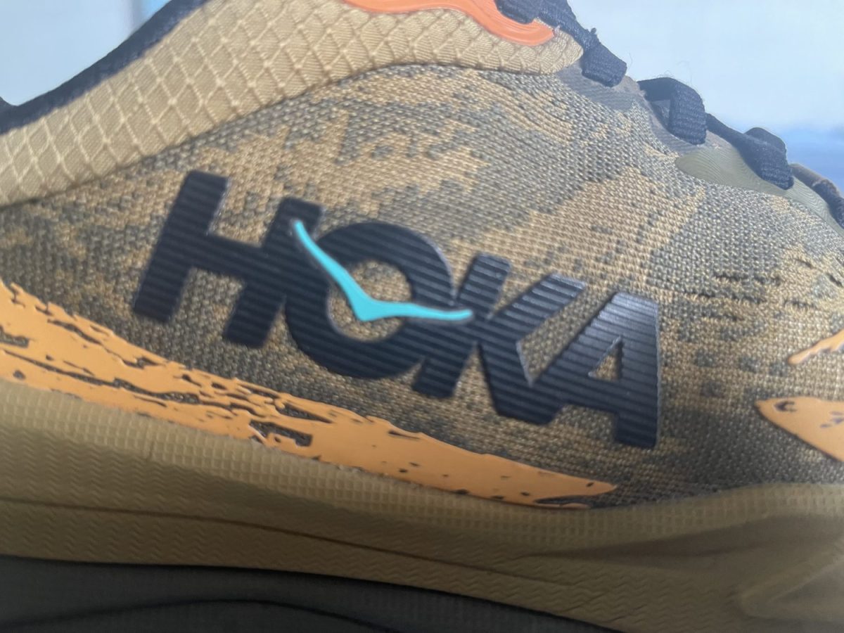 Which Trail Running Shoes?