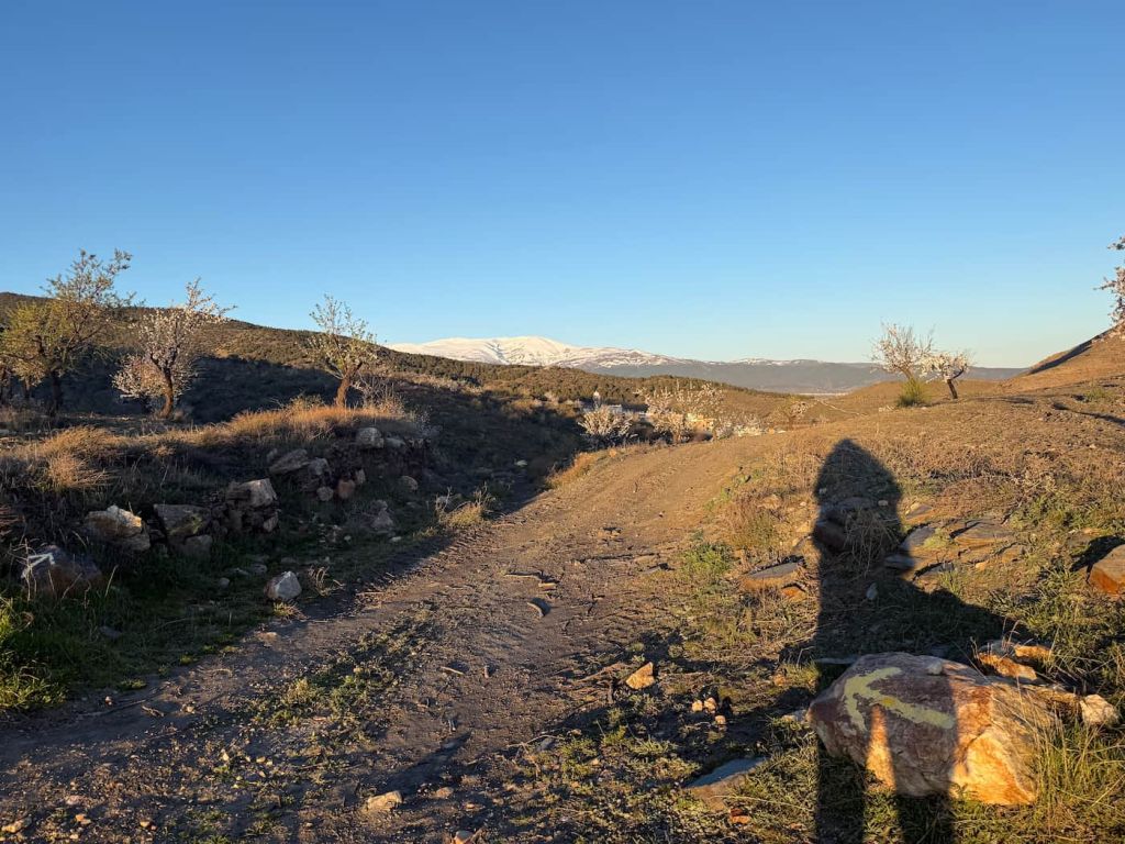 A yellow arrow pilgrim direction sign on the Camino Mozarabe